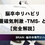 脳梗塞リハビリにおけるTMSの効果