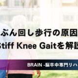 【脳卒中】ぶん回し歩行の原因となるStiff Knee Gaitとは？