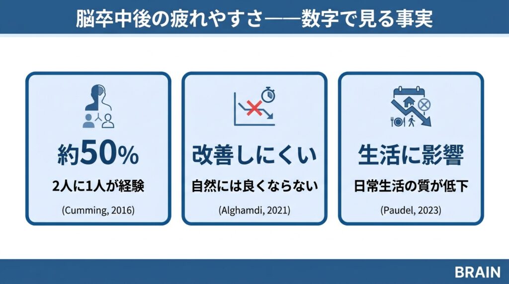脳卒中後の疲れやすさを数字で示すインフォグラフィック。3つのカードで構成：約50%・2人に1人が経験（Cumming, 2016）、改善しにくい・自然には良くならない（Alghamdi, 2021）、生活に影響・日常生活の質が低下（Paudel, 2023）。
