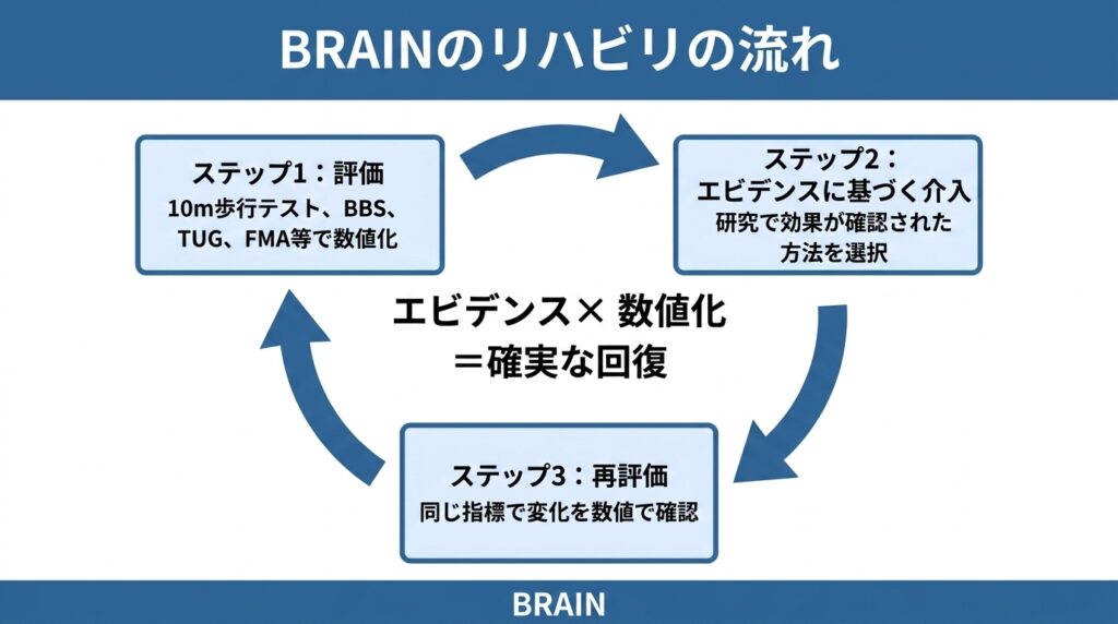 BRAINの脳卒中リハビリの流れ。ステップ1で10m歩行テスト・BBS・TUG・FMA等により身体機能を数値化して評価し、ステップ2で研究により効果が確認された方法を選択してエビデンスに基づく介入を行い、ステップ3で同じ指標を用いて変化を数値で再評価する。「エビデンス×数値化＝確実な回復」を実現する3ステップの循環プロセス。
