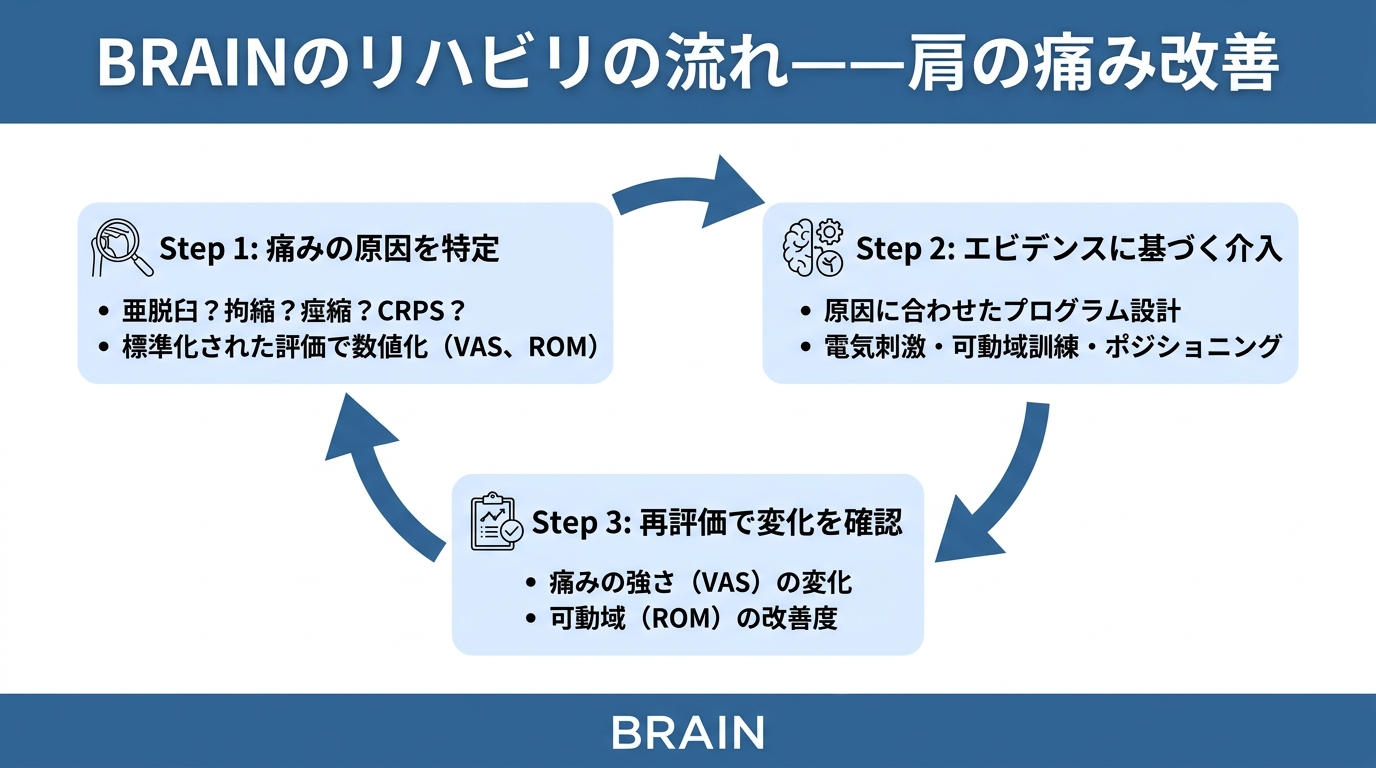 BRAINのエビデンスに基づくリハビリの流れ。痛みの原因特定、エビデンスに基づく介入、再評価のサイクル図