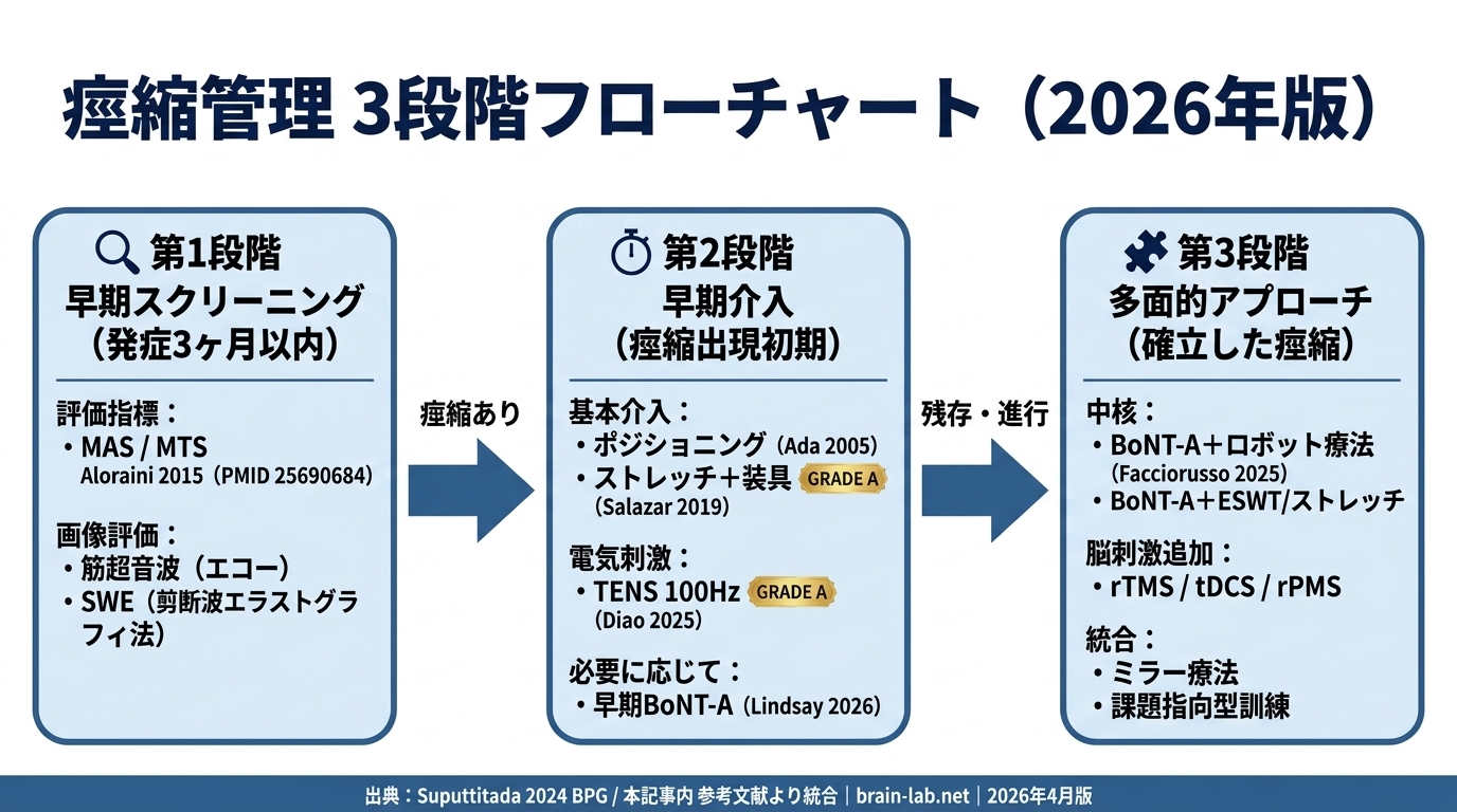 脳卒中後痙縮の管理3段階フローチャート（2026年版）。早期スクリーニング→早期介入→多面的アプローチの流れを示す図