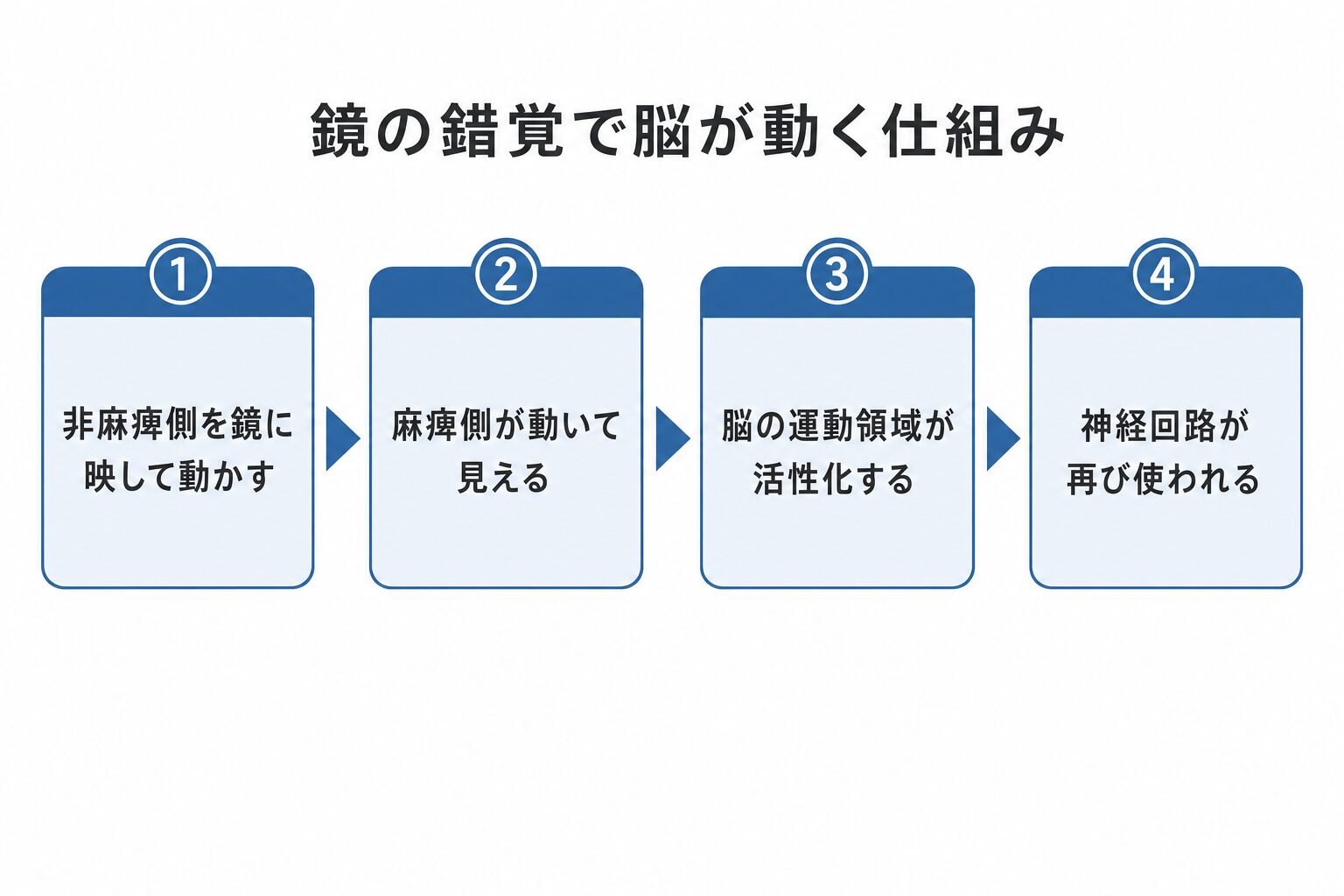 鏡の錯覚で脳が動く仕組みの図解。①非麻痺側を鏡に映して動かす→②麻痺側が動いて見える→③脳の運動領域が活性化する→④神経回路が再び使われる、という4段階の流れ。