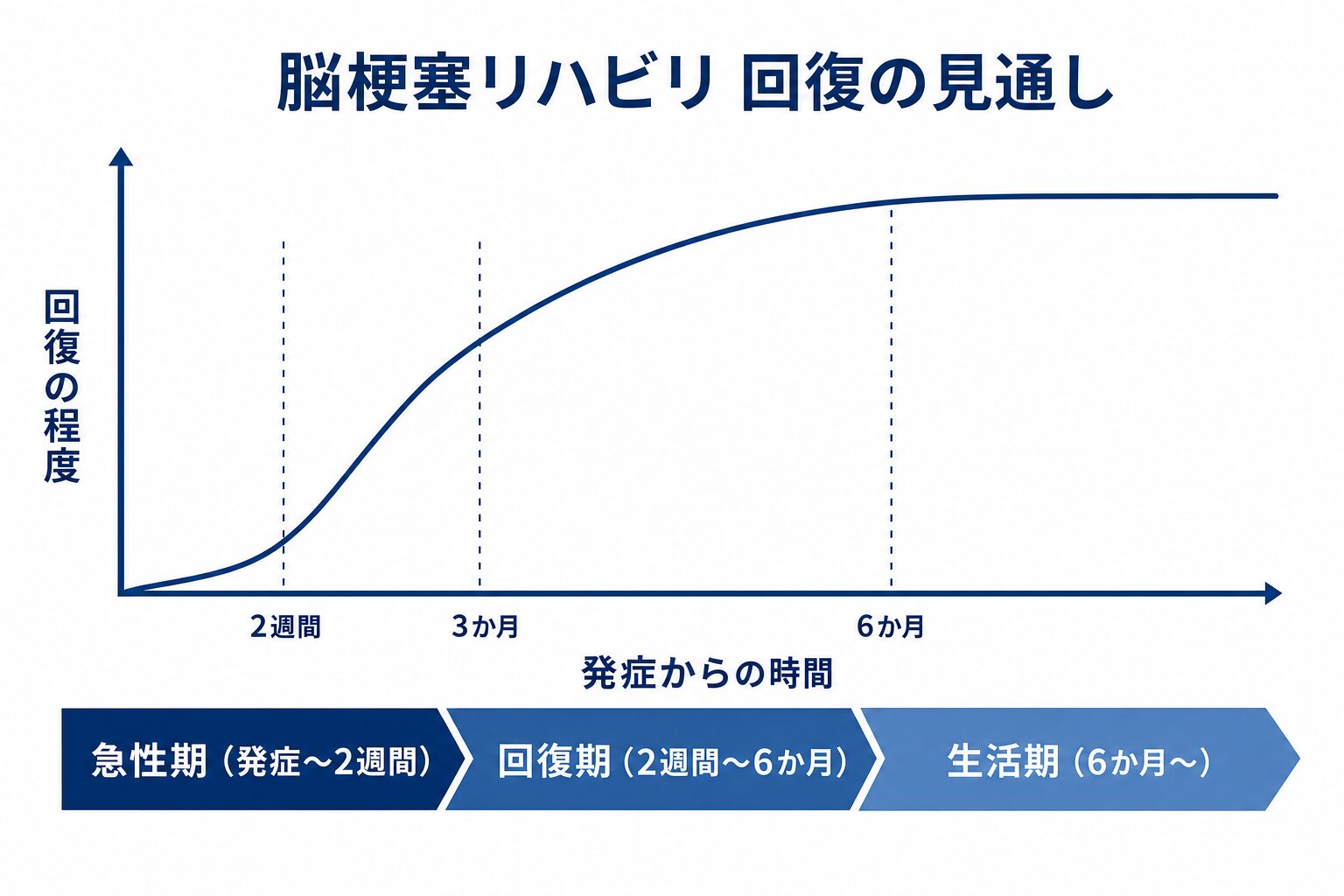 脳梗塞リハビリの回復の見通しを示すグラフ。回復は発症から約3か月で急速に進み、6か月ごろからゆるやかになる。下に急性期(発症〜2週間)・回復期(2週間〜6か月)・生活期(6か月〜)の時期帯を示す。