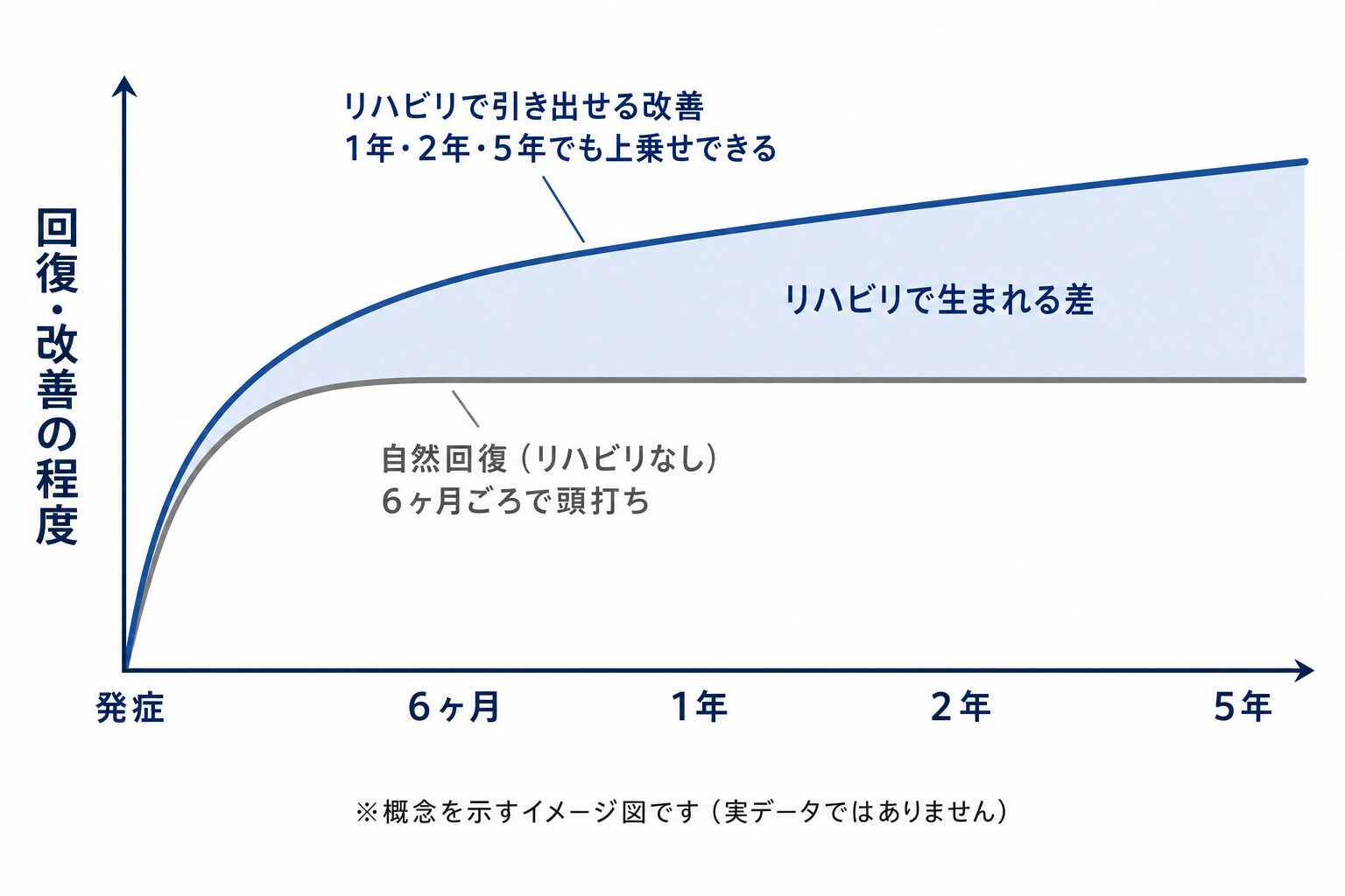 脳卒中の回復を時間軸で示した概念図。リハビリを受けない場合の自然回復は発症6ヶ月ごろで頭打ちになる一方、リハビリで引き出せる改善は1年・2年・5年経っても上乗せできることを、2本の曲線の差として示している。数値のない概念模式図。